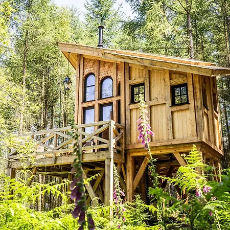 Les Des Dolimarts Bohan