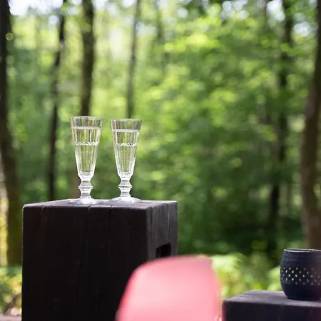 Les Des Dolimarts 3*