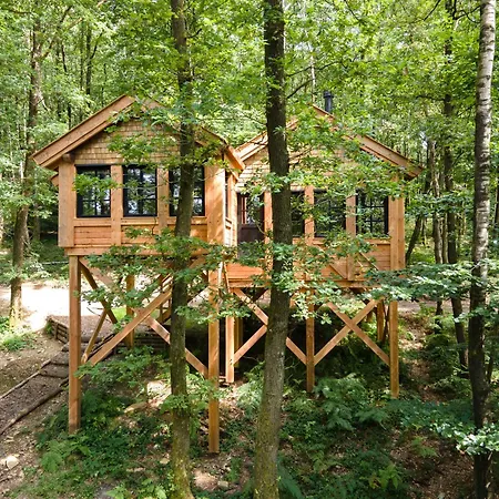 Les Des Dolimarts 3*