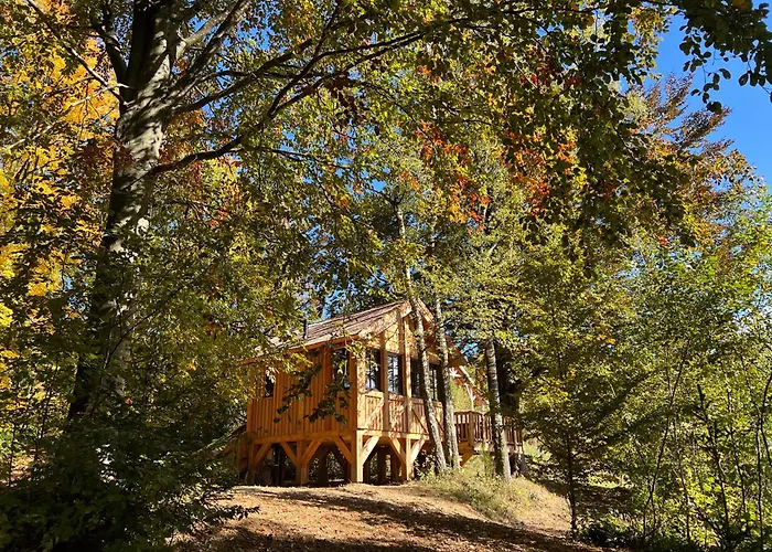 Les Des Dolimarts Appart hôtel 3*