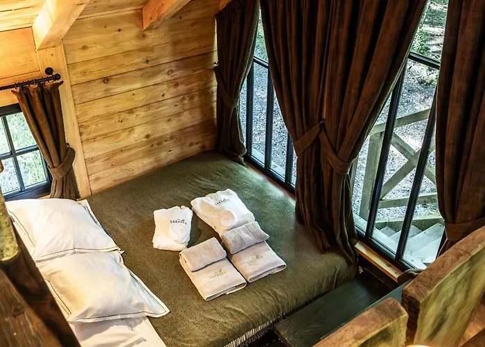 Appart hôtel Les Des Dolimarts 3*