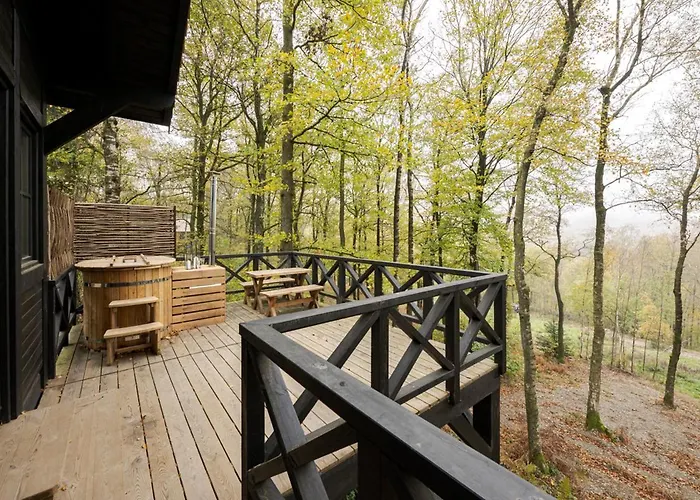 Appart hôtel Les Des Dolimarts 3*