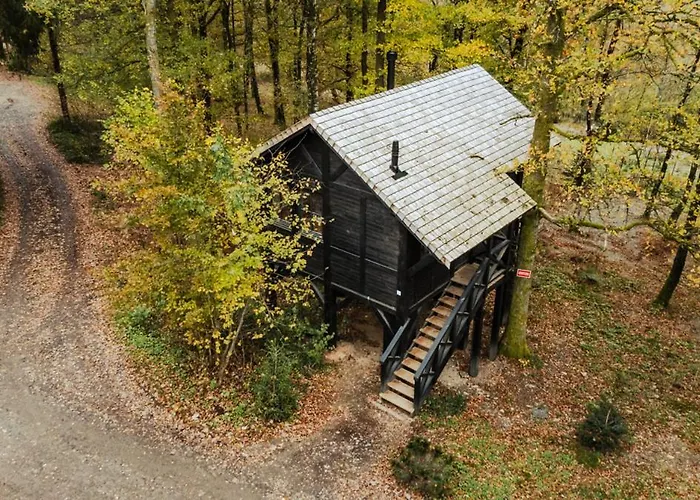 Les Des Dolimarts 3*