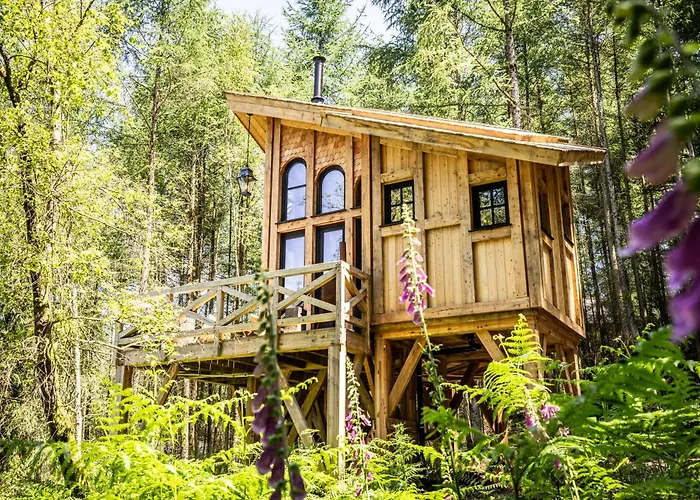 Les Des Dolimarts Bohan