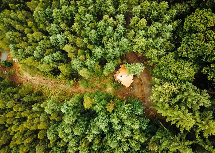 Les Des Dolimarts Appart hôtel
