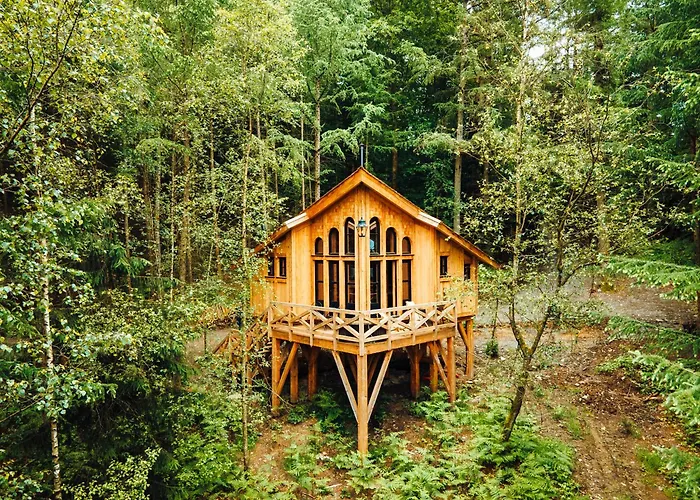 Appart hôtel Les Des Dolimarts 3*