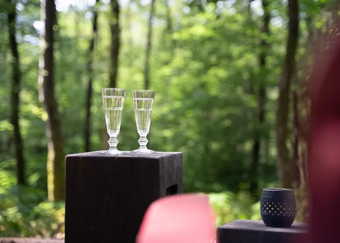 Les Des Dolimarts 3*