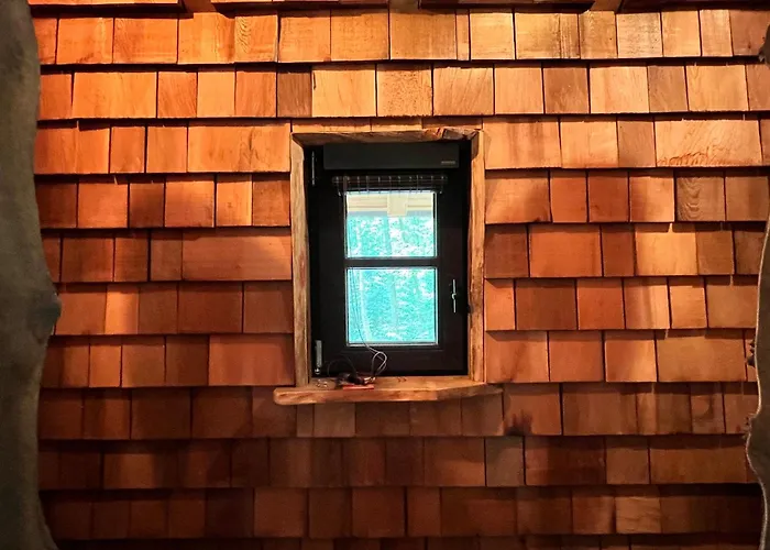 Les Des Dolimarts 3*