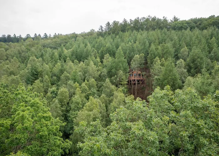 Les Des Dolimarts Appart hôtel