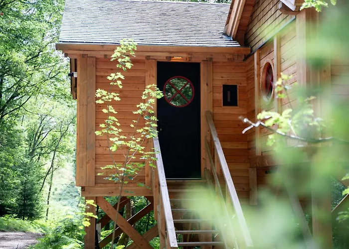 Les Des Dolimarts 3*