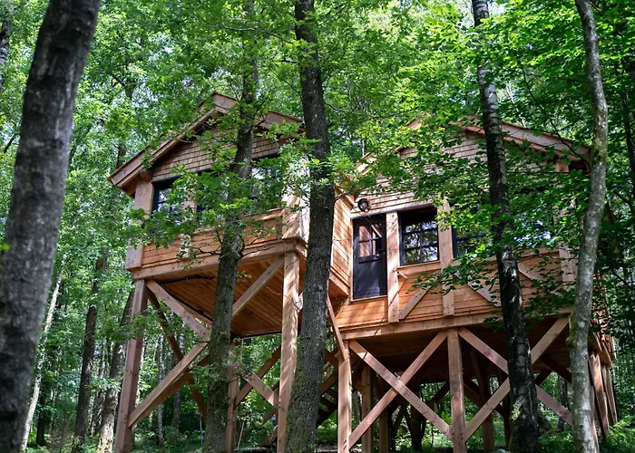 Les Des Dolimarts 3* Bohan