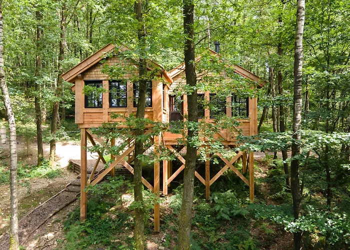 Les Des Dolimarts 3*