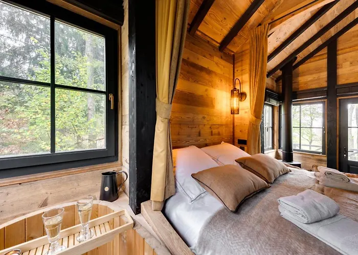 Appart hôtel Les Des Dolimarts